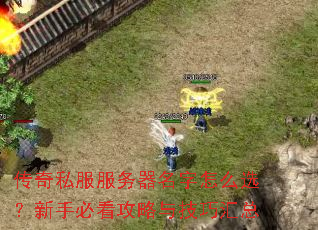 ����˽��������������ôѡ�����ֱؿ������뼼�ɻ���