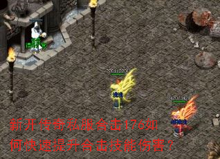 �¿�����˽���ϻ�176��ο��������ϻ������˺���