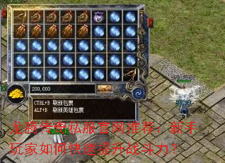 龙腾传奇私服官网推荐:新手玩家如何快速提升战斗力? 龙腾传奇私服官网推荐:新手玩家如何快速提升战斗力?