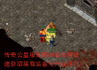 ���湫������GM����ο��ٻ�ȡϡ��װ�����������ɣ�