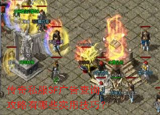 ����˽��SF����ѯ��������Щʵ�ü��ɣ�