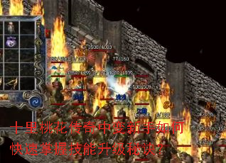 ʮ���һ������б�������ο������ռ��������ؾ���