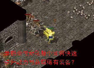 ��ְҵ����˽������ο�������ս�����ȡϡ��װ����