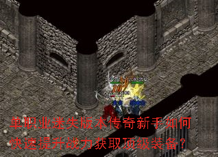 ��ְҵ��ʧ�汾����������ο�������ս����ȡ����װ����