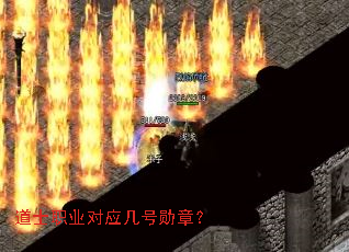 道士职业对应几号勋章? 道士职业对应几号勋章?