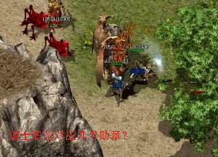 道士职业对应几号勋章? 道士职业对应几号勋章?