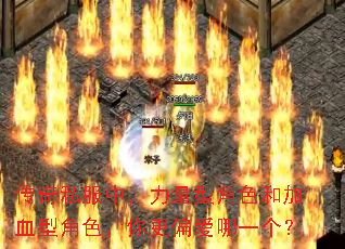 传奇私服中,力量型角色和加血型角色,你更偏爱哪一个? 传奇私服中,力量型角色和加血型角色,你更偏爱哪一个?