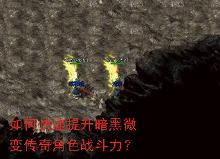 ��ο�����������΢�䴫���ɫս������