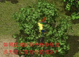 ���Ӧ���¿������б�׷ɱ�޷�������ֵ������