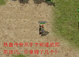 ��Ѫ������ֲ�֪����ʵ�ü��ɣ��������˼�����