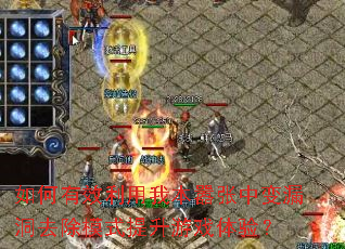 如何有效利用我本嚣张中变漏洞去除模式提升游戏体验? 如何有效利用我本嚣张中变漏洞去除模式提升游戏体验?