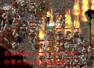 紫碧螺爆率太低?复古传奇中哪些怪物掉落紫碧螺? 紫碧螺爆率太低?复古传奇中哪些怪物掉落紫碧螺?