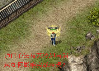 ʦ���ķ�������ȴ���������Ӱ��ʵս���֣�