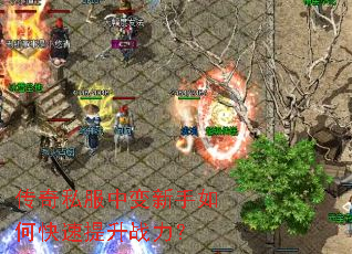 ����˽���б�������ο�������ս����