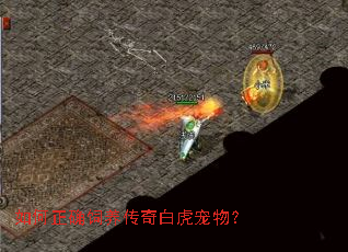 �����ȷ��������׻����