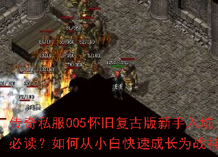 ����˽��005���ɸ��Ű�������ӱض�����δ�С�׿��ٳɳ�Ϊս��