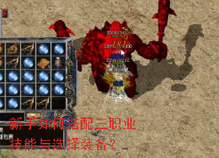 新手如何搭配三职业技能与选择装备? 新手如何搭配三职业技能与选择装备?