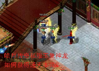 皓月传奇私服玉兔神龙如何获得通天本领? 皓月传奇私服玉兔神龙如何获得通天本领?