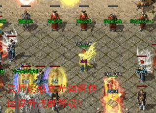 ��ʦ�ջ�֮����ο����������ܵȼ���