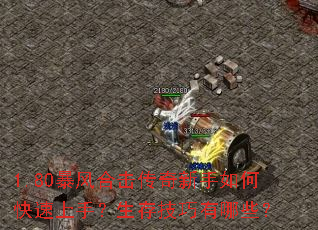 1.80暴风合击传奇新手如何快速上手?生存技巧有哪些? 1.80暴风合击传奇新手如何快速上手?生存技巧有哪些?