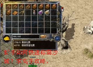 新手如何快速称霸沙城?求高手攻略。 新手如何快速称霸沙城?求高手攻略。