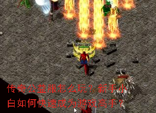 ���湫�����ô�棿����С����ο��ٳ�Ϊ��Ϸ���֣�