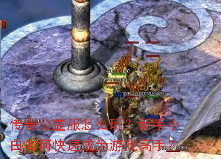 ���湫�����ô�棿����С����ο��ٳ�Ϊ��Ϸ���֣�