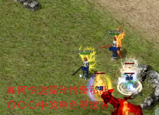 ��ο�����������˽���������еĽ�ɫ�ȼ���