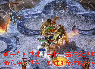 ������ο������ּ�Ʒ�ǳ�����Ѫ����˽���������ŵ�����ȫ����ָ��