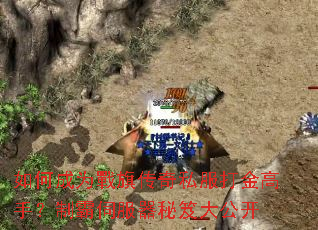 ��γ�Ϊ���촫��˽�������֣��ư��ŷ������Ŵ󹫿�