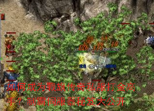 ��γ�Ϊ���촫��˽�������֣��ư��ŷ������Ŵ󹫿�