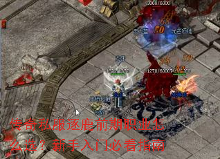 ����˽����¹ǰ��ְҵ��ôѡ���������űؿ�ָ��