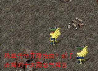 ��Ѫ���濪��ָ�ϣ����ֱؽ��ʮ����������