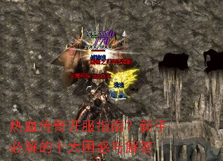 ��Ѫ���濪��ָ�ϣ����ֱؽ��ʮ����������