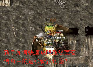 ������ο��ٹ��Գ�����̬�����е�������ӱ��ͼ��