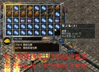 ������ο��������°���Ѫ��̬����˽���������ָ�㹥��