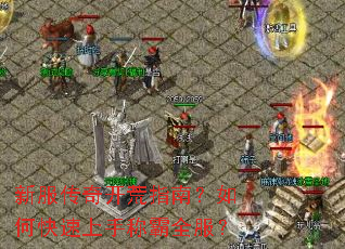 �·����濪��ָ�ϣ���ο������ֳư�ȫ����