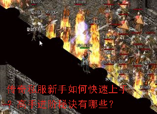 传奇私服新手如何快速上手?高手进阶秘诀有哪些? 传奇私服新手如何快速上手?高手进阶秘诀有哪些?