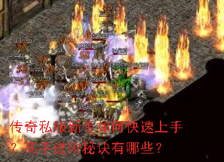 传奇私服新手如何快速上手?高手进阶秘诀有哪些? 传奇私服新手如何快速上手?高手进阶秘诀有哪些?