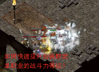 如何快速提升仙侠醉武单职业的战斗力等级? 如何快速提升仙侠醉武单职业的战斗力等级?