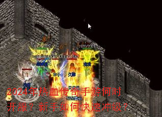 2024����Ѫ�������κ�ʱ������������ο��ٳ弶��