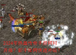 2024����Ѫ�������κ�ʱ������������ο��ٳ弶��