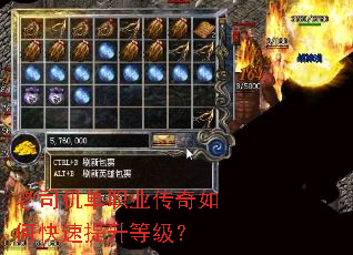 ��˾����ְҵ������ο��������ȼ���