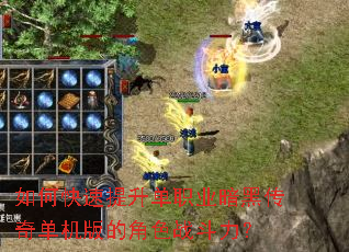 如何快速提升单职业暗黑传奇单机版的角色战斗力? 如何快速提升单职业暗黑传奇单机版的角色战斗力?