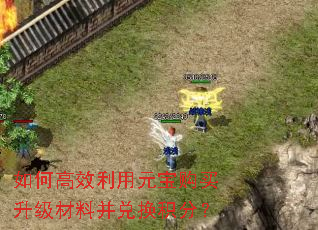 如何高效利用元宝购买升级材料并兑换积分? 如何高效利用元宝购买升级材料并兑换积分?